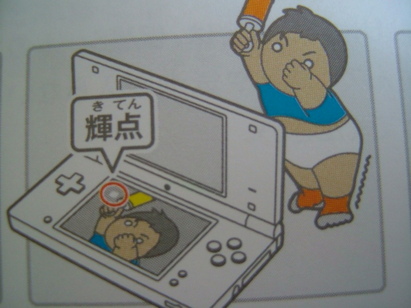 Illustration for article titled Hey Dummy, Don't Microwave The DSi (And Other Nintendo Tips)
